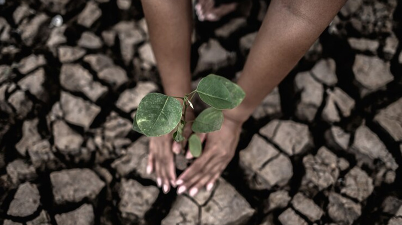 Challenging Misinformation, Understanding Impacts, and Pursuing Possibilities